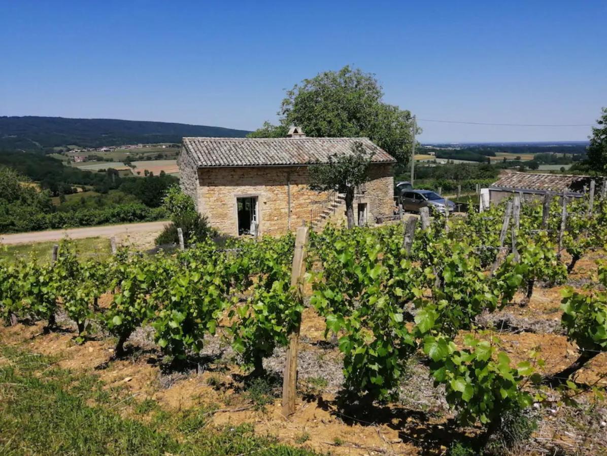 Une Maison De Campagne En Bourgogne Du Sud Tournus Exterior foto